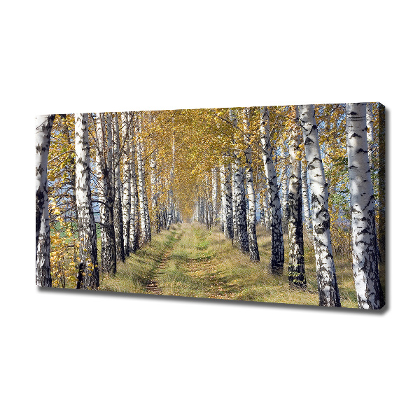 Canvas wall art Birches in autumn