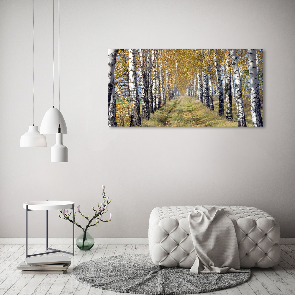 Canvas wall art Birches in autumn