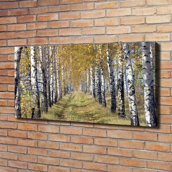 Canvas wall art Birches in autumn