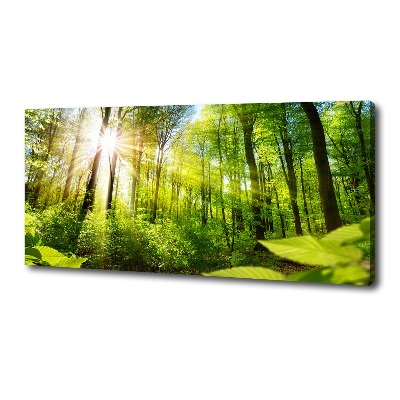 Canvas wall art Forest in the sun