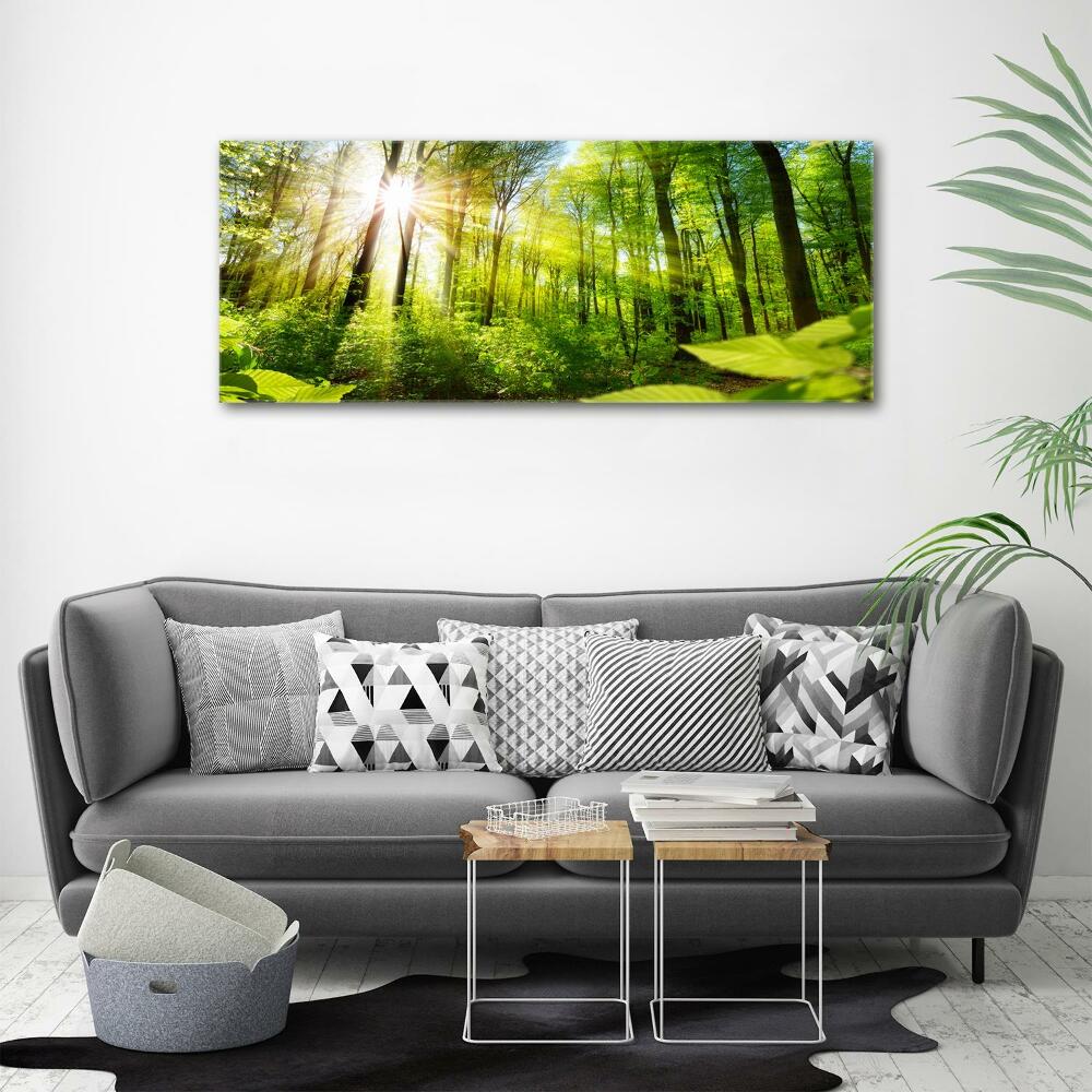 Canvas wall art Forest in the sun