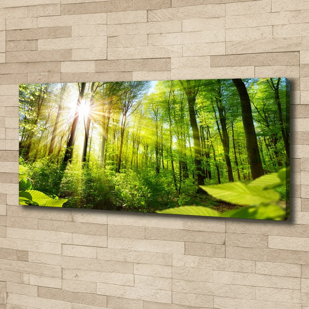 Canvas wall art Forest in the sun