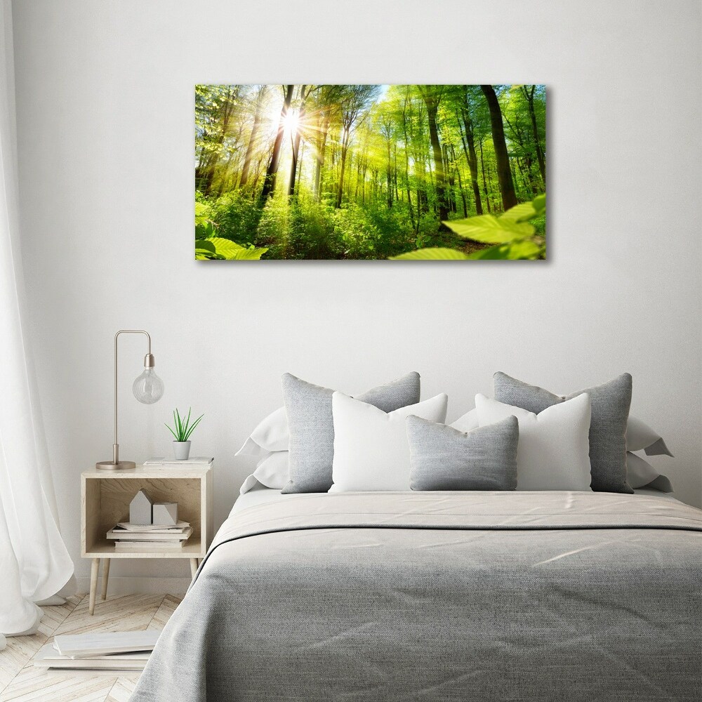 Canvas wall art Forest in the sun