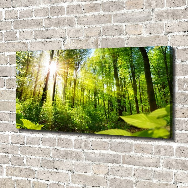 Canvas wall art Forest in the sun