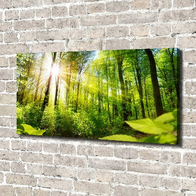 Canvas wall art Forest in the sun