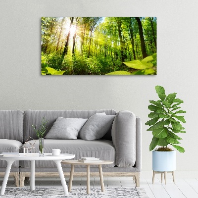 Canvas wall art Forest in the sun