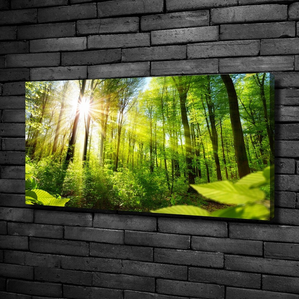 Canvas wall art Forest in the sun