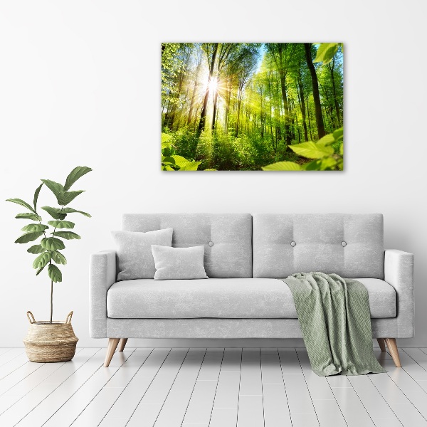 Canvas wall art Forest in the sun