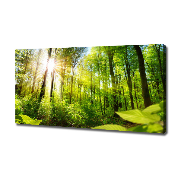 Canvas wall art Forest in the sun