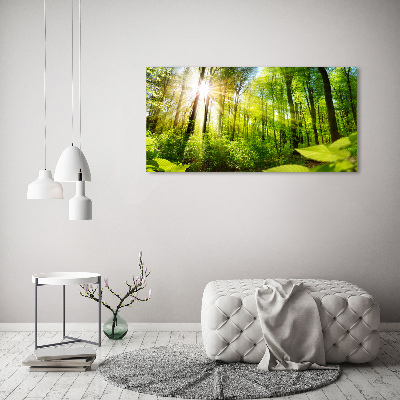 Canvas wall art Forest in the sun