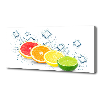 Canvas wall art Citrus fruits