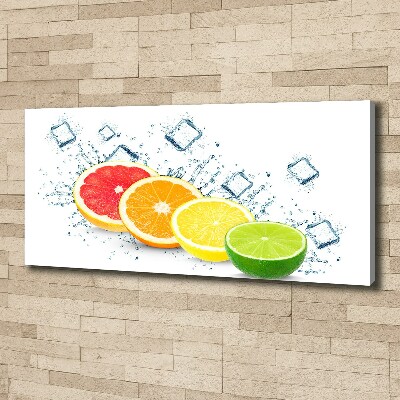 Canvas wall art Citrus fruits