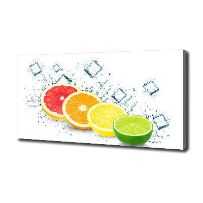 Canvas wall art Citrus fruits