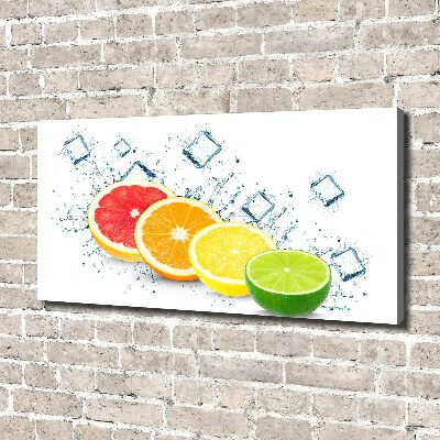 Canvas wall art Citrus fruits