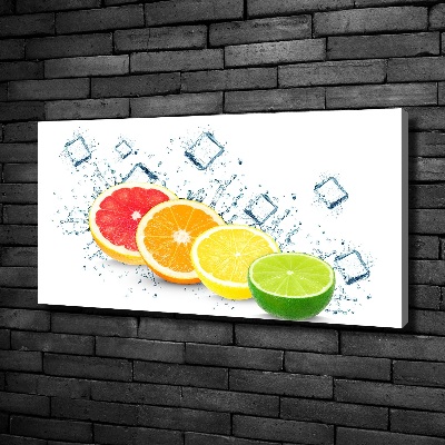 Canvas wall art Citrus fruits