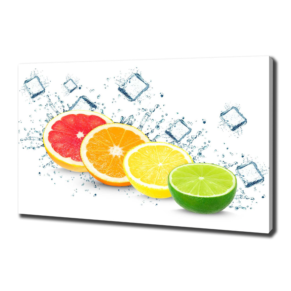 Canvas wall art Citrus fruits