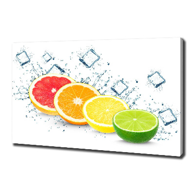 Canvas wall art Citrus fruits