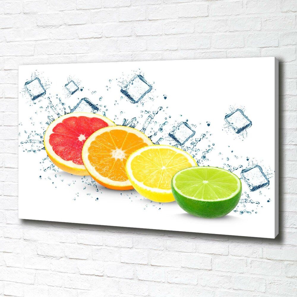 Canvas wall art Citrus fruits