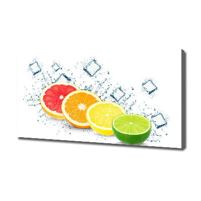 Canvas wall art Citrus fruits