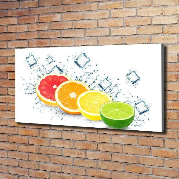 Canvas wall art Citrus fruits