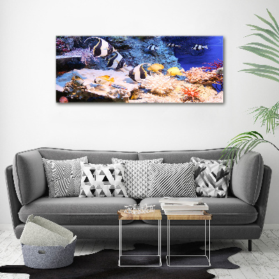 Canvas print Coral reef