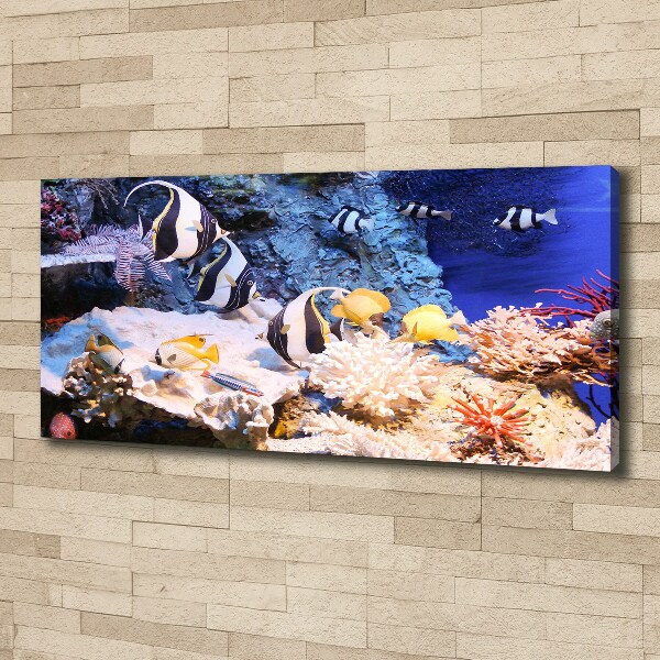 Canvas print Coral reef