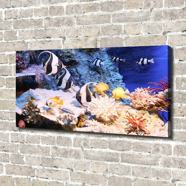 Canvas print Coral reef