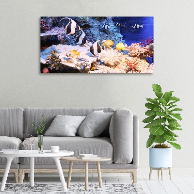 Canvas print Coral reef