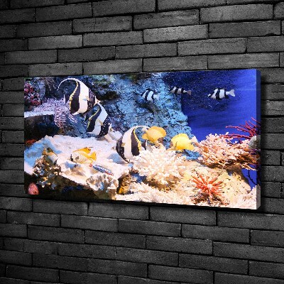 Canvas print Coral reef