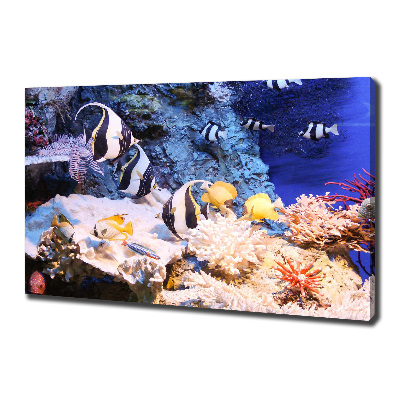 Canvas print Coral reef