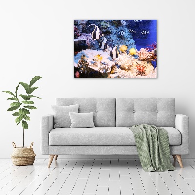 Canvas print Coral reef