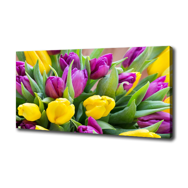 Colorful tulips