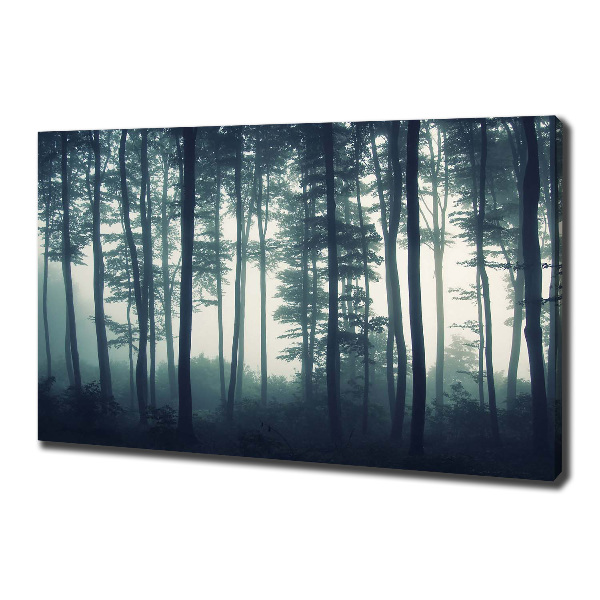 Canvas wall art Forest in the fog