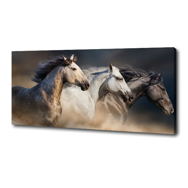 Wall art canvas large Horses at gallop