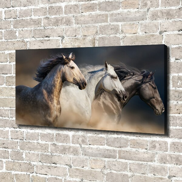 Wall art canvas large Horses at gallop