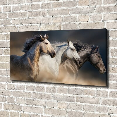 Wall art canvas large Horses at gallop