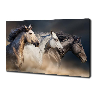 Wall art canvas large Horses at gallop