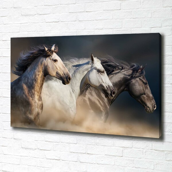 Wall art canvas large Horses at gallop