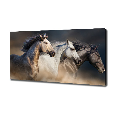 Wall art canvas large Horses at gallop