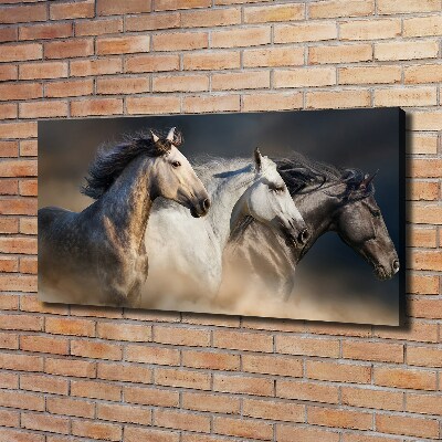 Wall art canvas large Horses at gallop