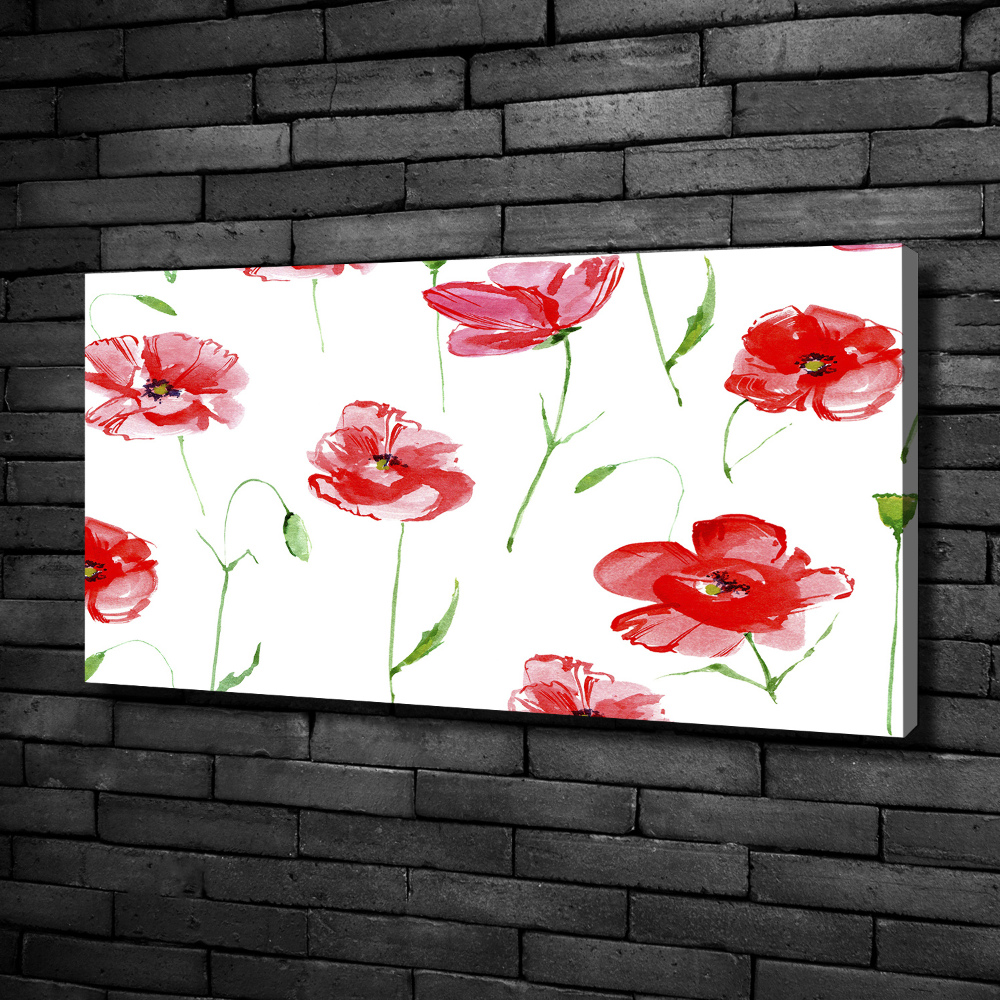 Canvas wall art Macs