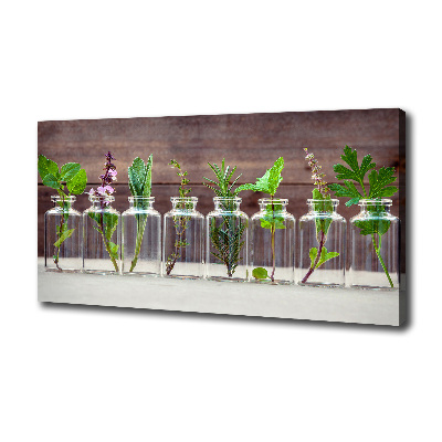 Canvas wall art Plants in jars