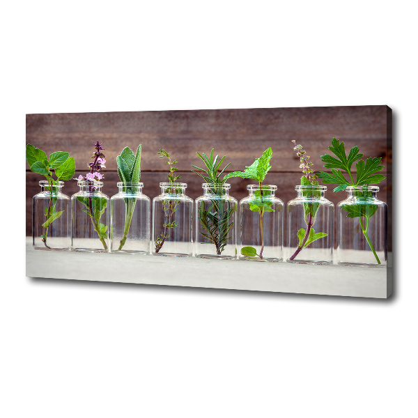 Canvas wall art Plants in jars