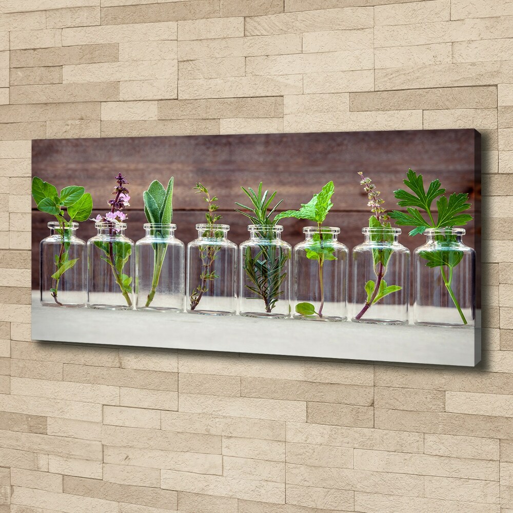 Canvas wall art Plants in jars