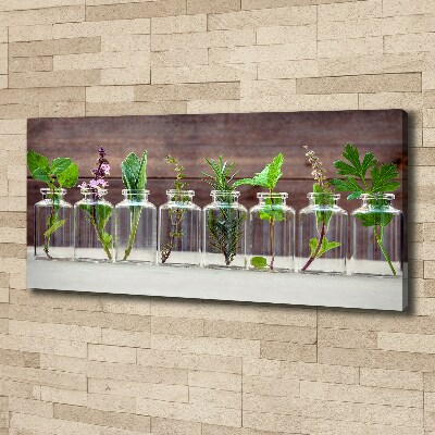 Canvas wall art Plants in jars