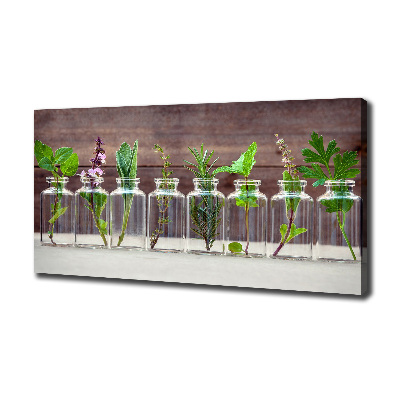 Canvas wall art Plants in jars