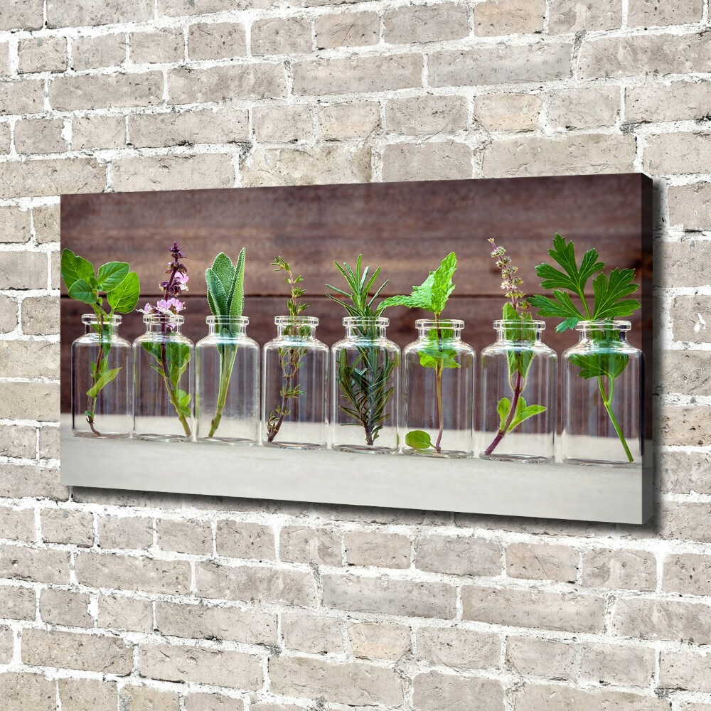 Canvas wall art Plants in jars