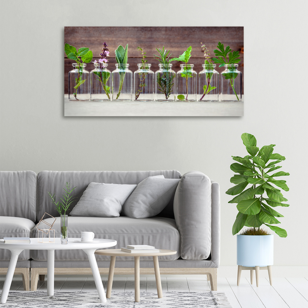 Canvas wall art Plants in jars