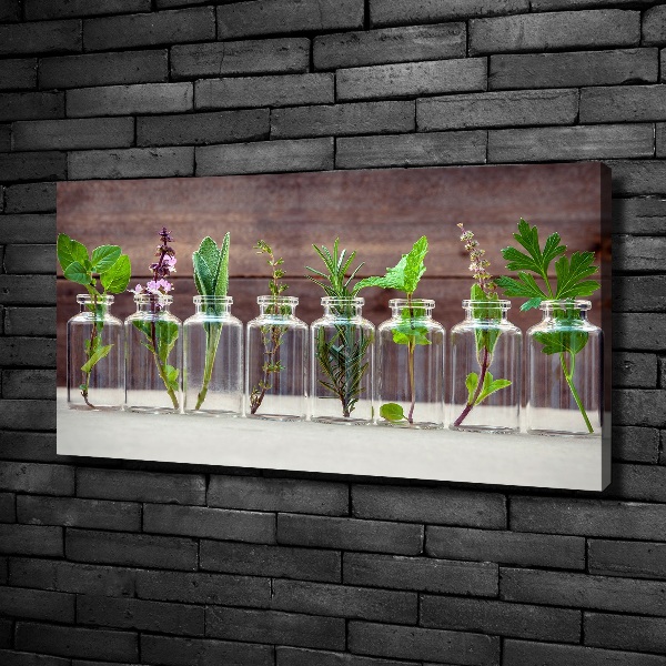 Canvas wall art Plants in jars