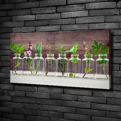 Canvas wall art Plants in jars